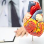 Salute cardiovascolare